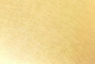 Champagne Gold Plated Stainless Steel