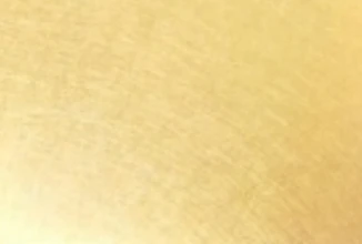 Champagne Gold Plated Stainless Steel