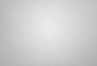 Grey/Smoke