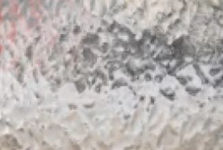 Water Ripple